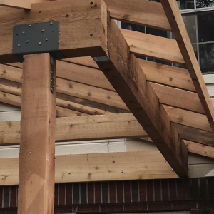 Cedar Rafters