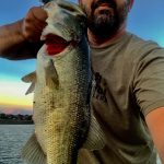 PB Bass