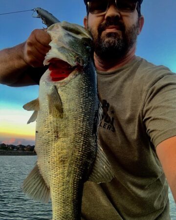 PB Bass PB Bass